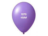 Onbedrukte ballonnen 10 st Violet