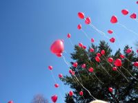 Helium hart  ballonnen per st