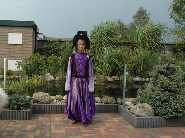 Heksen jurk paars foto
